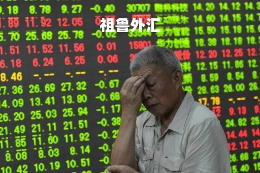 祖鲁外汇「祖鲁ms」
