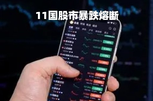 11国股市暴跌熔断