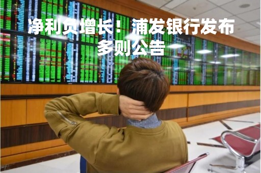 净利负增长！浦发银行发布多则公告