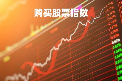 购买股票指数「购买股票指数基金」