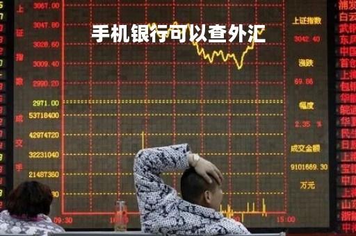 手机银行可以查外汇「手机银行外汇牌价可查看多少种币种」