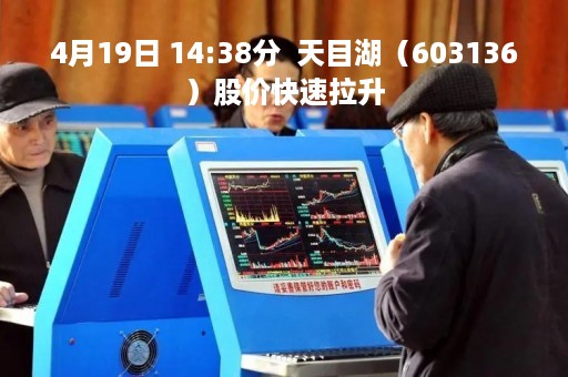 4月19日 14:38分  天目湖（603136）股价快速拉升