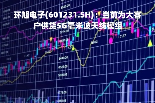 环旭电子(601231.SH)：当前为大客户供货5G毫米波天线模组