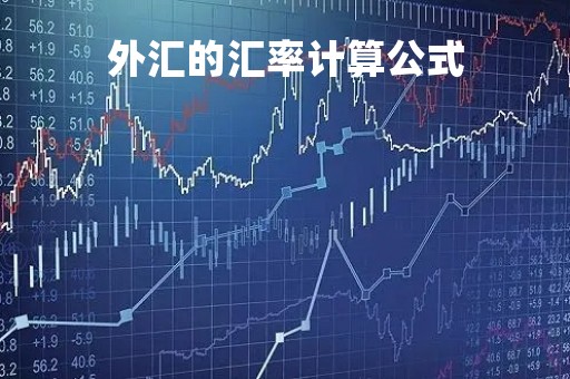 外汇的汇率计算公式「外汇的汇率计算公式为」