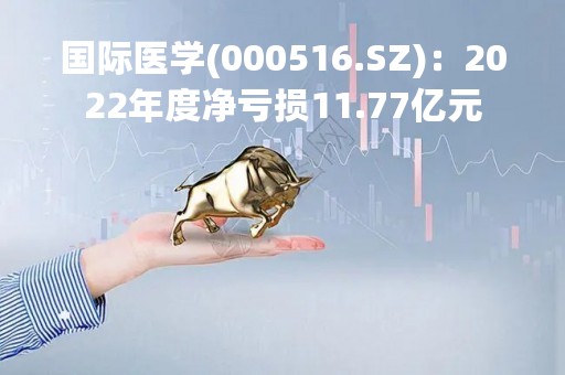 国际医学(000516.SZ)：2022年度净亏损11.77亿元