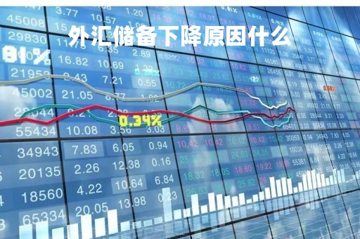 外汇储备下降原因什么「外汇储备过低」