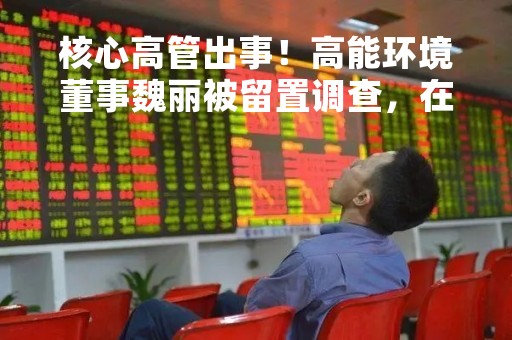 核心高管出事！高能环境董事魏丽被留置调查，在多个子公司担任要职