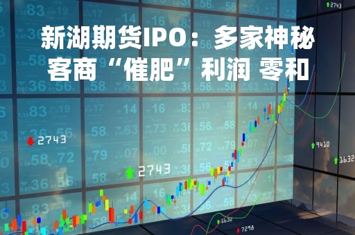 新湖期货IPO：多家神秘客商“催肥”利润 零和博弈定律下道德风险狂飙