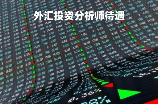 外汇投资分析师待遇「外汇分析师简介」