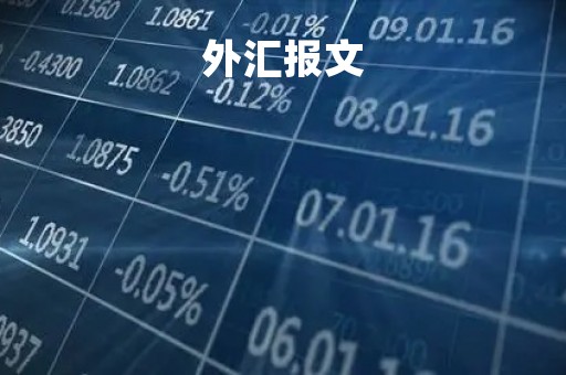 外汇报文「外汇报文70项」