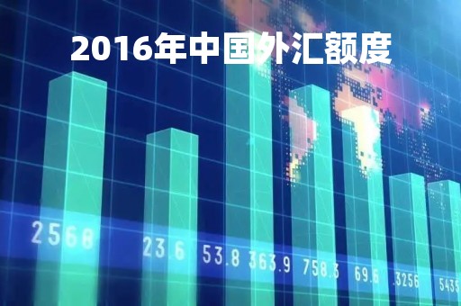 2016年中国外汇额度「2016年外汇管制规定」