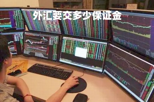 外汇要交多少保证金「外汇的保证金是什么意思」