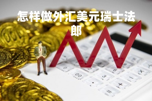 怎样做外汇美元瑞士法郎「美元瑞士法郎1655060」