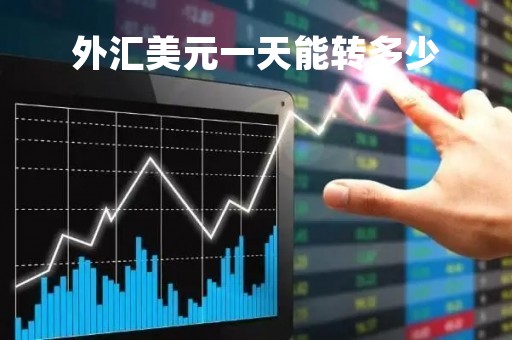 外汇美元一天能转多少「美元外汇限额」