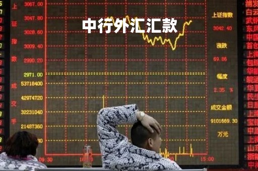 中行外汇汇款「中行外汇汇款国内地址英文格式是什么」
