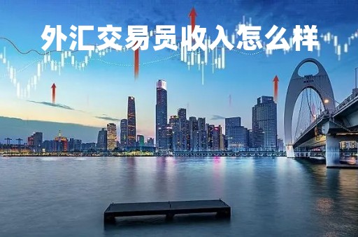 外汇交易员收入怎么样「外汇交易员是正经工作吗」