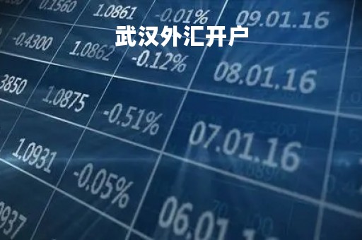 武汉外汇开户「武汉外资银行开户」