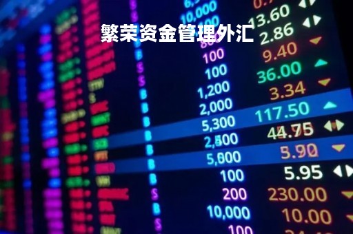 繁荣资金管理外汇「外汇资金管理公式」