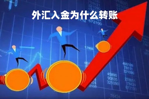 外汇入金为什么转账「为什么外汇入金每次都打到不同帐户」
