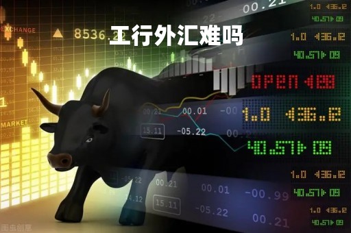 工行外汇难吗「工商银行账户外汇能赚钱吗」