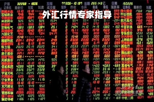 外汇行情专家指导「外汇行情专家指导报告」