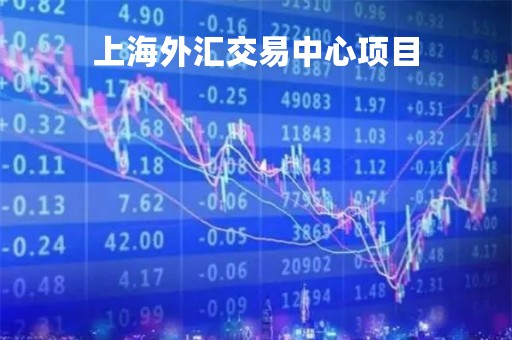 上海外汇交易中心项目「上海 外汇」
