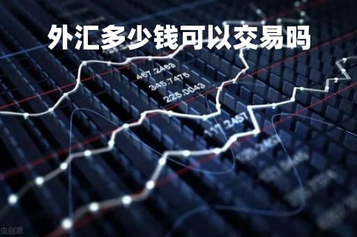 外汇多少钱可以交易吗「外汇最低多少钱可以操作」
