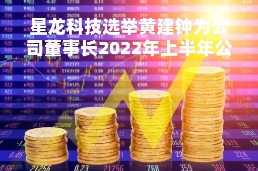 星龙科技选举黄建钟为公司董事长2022年上半年公司亏损388.49万
