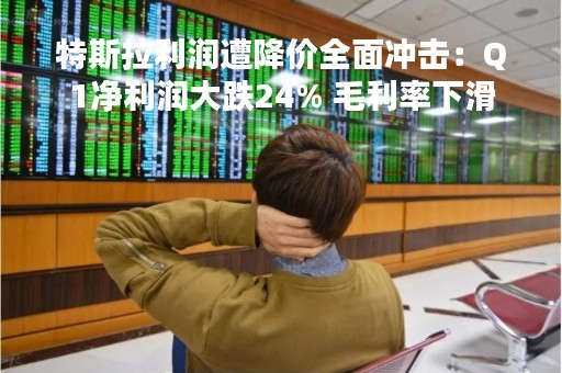 特斯拉利润遭降价全面冲击：Q1净利润大跌24% 毛利率下滑