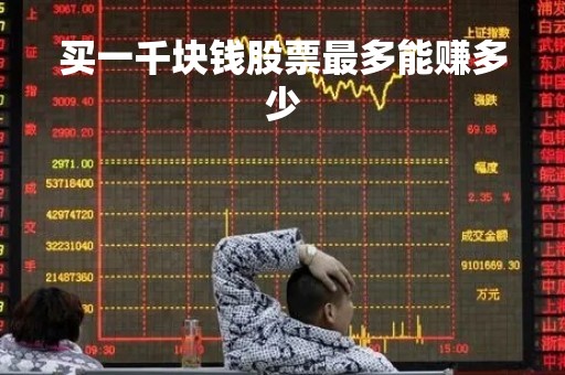 买一千块钱股票最多能赚多少「一千块钱买股票能赚到钱吗」