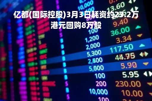亿都(国际控股)3月3日耗资约23.2万港元回购8万股