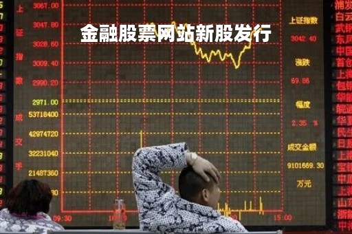 金融股票网站新股发行「新金融上市公司」