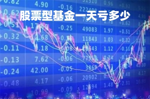 股票型基金一天亏多少「股票基金一天最多亏多少」