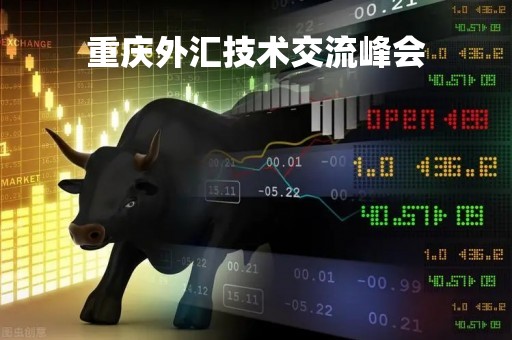重庆外汇技术交流峰会「重庆外汇交易所在哪里」