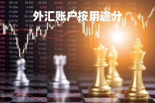 外汇账户按用途分「外汇账户可分为」
