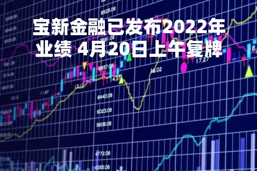 宝新金融已发布2022年业绩 4月20日上午复牌