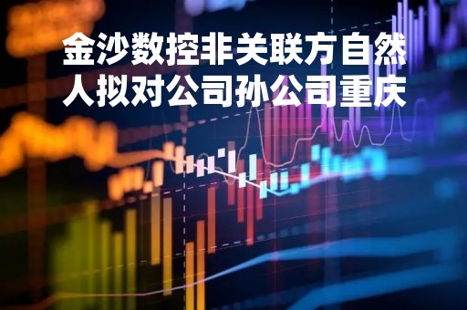 金沙数控非关联方自然人拟对公司孙公司重庆伊菲克来精密工业有限公司投资1000万