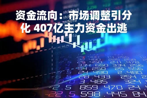 资金流向：市场调整引分化 407亿主力资金出逃!
