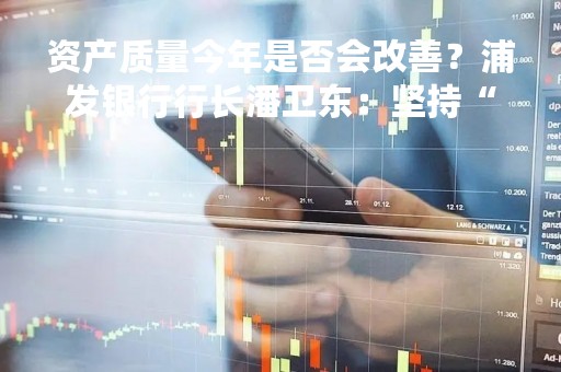 资产质量今年是否会改善？浦发银行行长潘卫东：坚持“控新降旧”两手抓，持续优化信贷结构