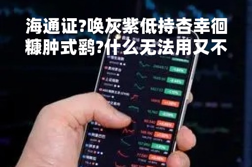 海通证?唤灰紫低持杏幸徊糠肿式鹞?什么无法用又不是股票