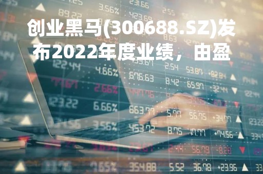 创业黑马(300688.SZ)发布2022年度业绩，由盈转亏8352.68万元
