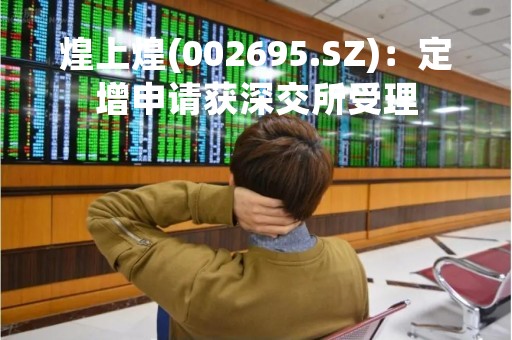 煌上煌(002695.SZ):定增申请获深交所受理 煌上煌(002695.SZ):定增申请获深交所受理