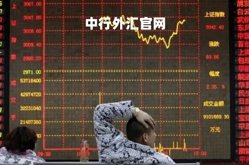 中行外汇官网「中行外汇官网首页」