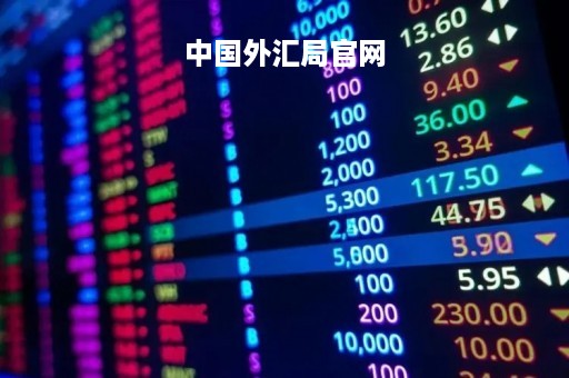 中国外汇局官网「中国外汇中心官网」