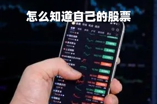 怎么知道自己的股票「怎么知道自己的股票是上海还是深圳」 怎么知道自己的股票「怎么知道自己的股票是上海还是深圳」