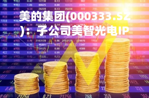 美的集团(000333.SZ)：子公司美智光电IPO申请获得深交所受理