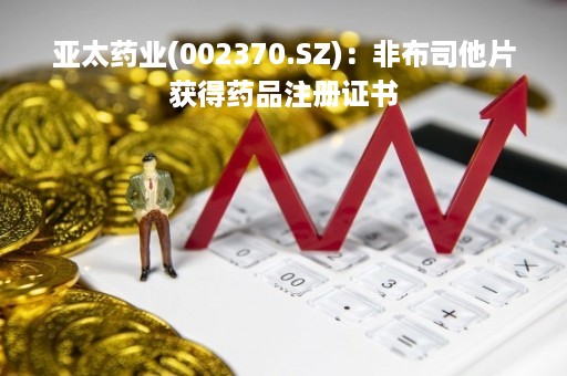 亚太药业(002370.SZ)：非布司他片获得药品注册证书