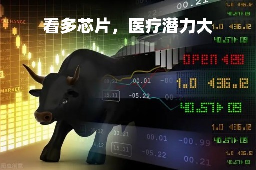 看多芯片，医疗潜力大