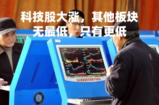 科技股大涨，其他板块无最低，只有更低