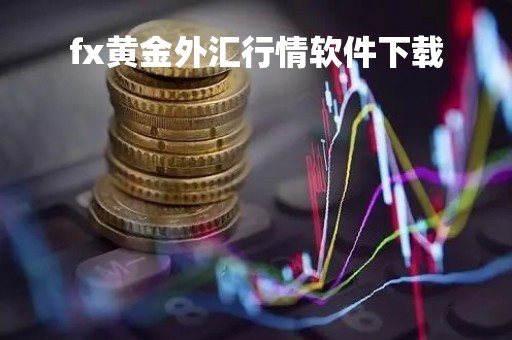 fx黄金外汇行情软件下载「fx外汇交易网站」